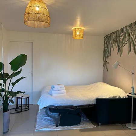 Accommodatie bij particulieren Superbe Tendance Et Zen Proche De Lyon